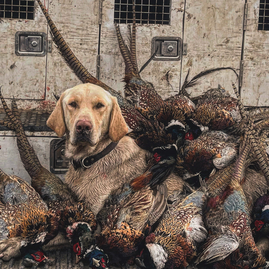 Fully Guided - Hunt Only