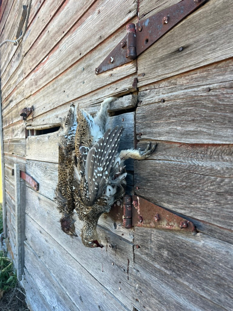 Fully Guided - Hunt Only