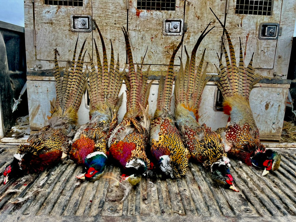 Fully Guided - Hunt Only