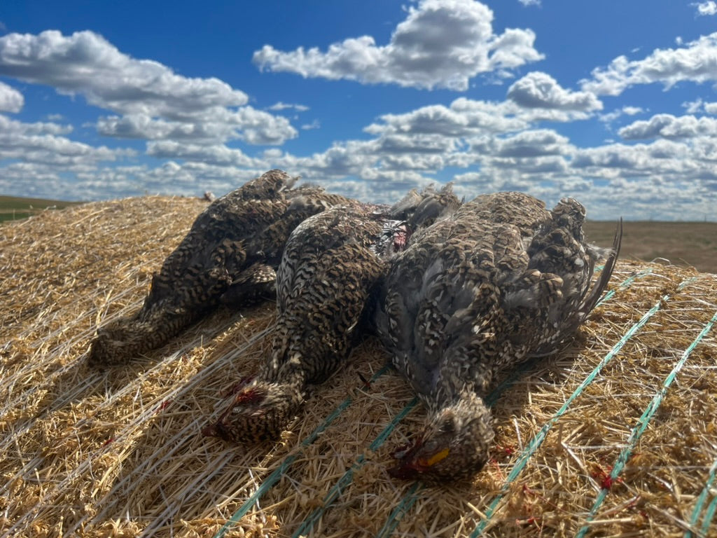 Fully Guided - Hunt Only