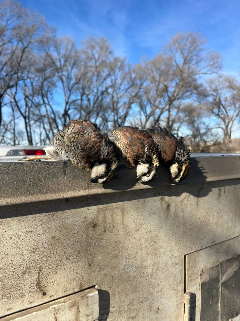 Fully Guided - Hunt Only